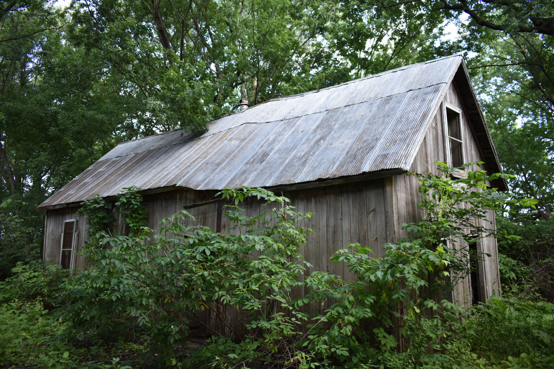Nerstrand cabin
